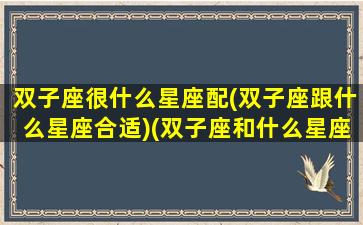 双子座很什么星座配(双子座跟什么星座合适)(双子座和什么星座性格互补)