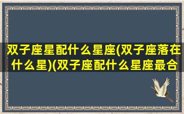 双子座星配什么星座(双子座落在什么星)(双子座配什么星座最合适)