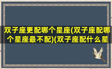 双子座更配哪个星座(双子座配哪个星座最不配)(双子座配什么星座最不好)