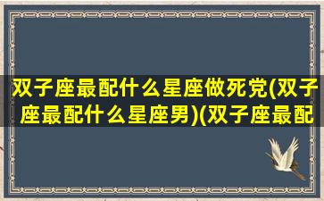 双子座最配什么星座做死党(双子座最配什么星座男)(双子座最配什么星座的女生)