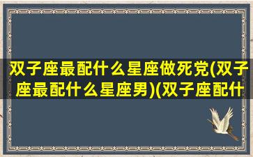 双子座最配什么星座做死党(双子座最配什么星座男)(双子座配什么星座最合适)