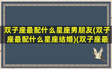 双子座最配什么星座男朋友(双子座最配什么星座结婚)(双子座最配什么星座的男人)