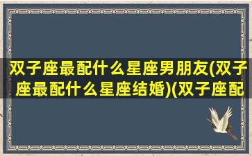 双子座最配什么星座男朋友(双子座最配什么星座结婚)(双子座配什么星座男生)