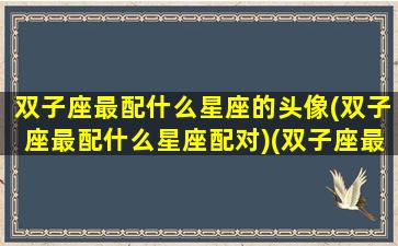 双子座最配什么星座的头像(双子座最配什么星座配对)(双子座最般配什么星座)