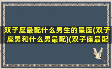 双子座最配什么男生的星座(双子座男和什么男最配)(双子座最配什么星座的男人)