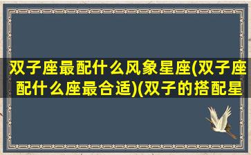 双子座最配什么风象星座(双子座配什么座最合适)(双子的搭配星座)