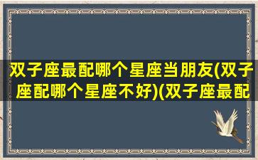 双子座最配哪个星座当朋友(双子座配哪个星座不好)(双子座最配的三个星座)