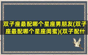 双子座最配哪个星座男朋友(双子座最配哪个星座闺蜜)(双子配什么星座的女朋友)