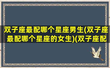 双子座最配哪个星座男生(双子座最配哪个星座的女生)(双子座配哪个星座最好)
