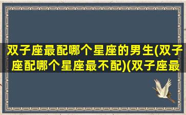 双子座最配哪个星座的男生(双子座配哪个星座最不配)(双子座最配的男朋友是什么星座)