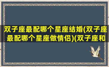 双子座最配哪个星座结婚(双子座最配哪个星座做情侣)(双子座和什么星座结婚合适)