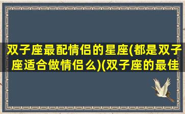 双子座最配情侣的星座(都是双子座适合做情侣么)(双子座的最佳情侣是什么星座)