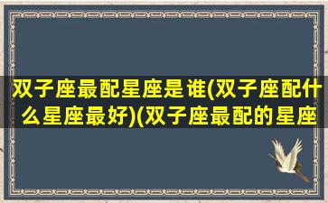 双子座最配星座是谁(双子座配什么星座最好)(双子座最配的星座是什么星座配对)