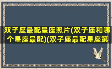 双子座最配星座照片(双子座和哪个星座最配)(双子座最配星座第一名)