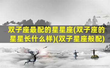 双子座最配的星星座(双子座的星星长什么样)(双子星座般配)