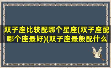 双子座比较配哪个星座(双子座配哪个座最好)(双子座最般配什么星座)