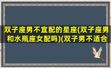 双子座男不宜配的星座(双子座男和水瓶座女配吗)(双子男不适合的星座女)