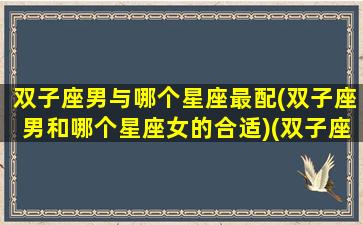 双子座男与哪个星座最配(双子座男和哪个星座女的合适)(双子座男和哪个星座最匹配)