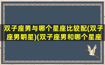 双子座男与哪个星座比较配(双子座男眀星)(双子座男和哪个星座最合适)