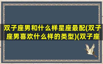 双子座男和什么样星座最配(双子座男喜欢什么样的类型)(双子座男和什么星座合适)