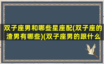 双子座男和哪些星座配(双子座的渣男有哪些)(双子座男的跟什么星座配对)