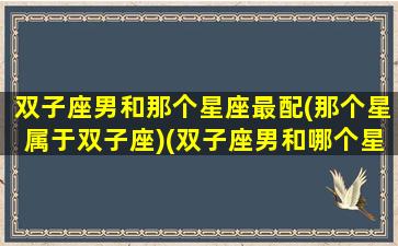 双子座男和那个星座最配(那个星属于双子座)(双子座男和哪个星座配)