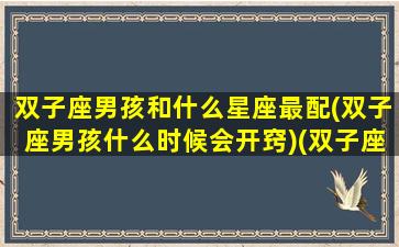 双子座男孩和什么星座最配(双子座男孩什么时候会开窍)(双子座男生和什么星座最配对)