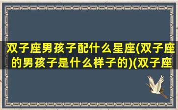 双子座男孩子配什么星座(双子座的男孩子是什么样子的)(双子座男生配什么座的女生)