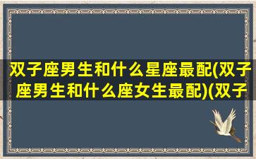 双子座男生和什么星座最配(双子座男生和什么座女生最配)(双子座男生和什么星座女生最般配)