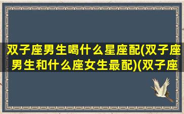 双子座男生喝什么星座配(双子座男生和什么座女生最配)(双子座男人配什么星座最好)