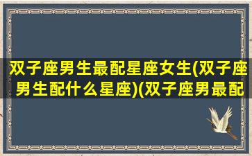 双子座男生最配星座女生(双子座男生配什么星座)(双子座男最配什么星座的女生)