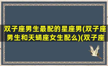 双子座男生最配的星座男(双子座男生和天蝎座女生配么)(双子座男生跟哪个星座最配)