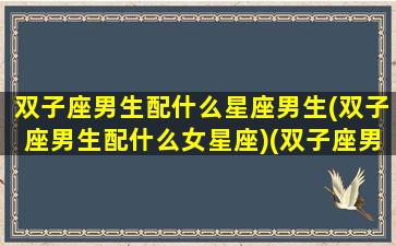 双子座男生配什么星座男生(双子座男生配什么女星座)(双子座男生配什么星座女生最好)