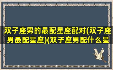 双子座男的最配星座配对(双子座男最配星座)(双子座男配什么星座最好)