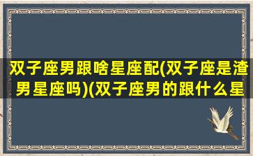 双子座男跟啥星座配(双子座是渣男星座吗)(双子座男的跟什么星座配对)