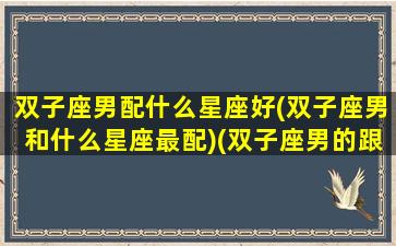 双子座男配什么星座好(双子座男和什么星座最配)(双子座男的跟什么星座配对)