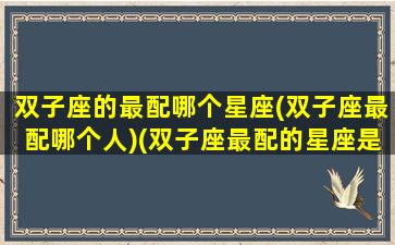 双子座的最配哪个星座(双子座最配哪个人)(双子座最配的星座是什么星座)