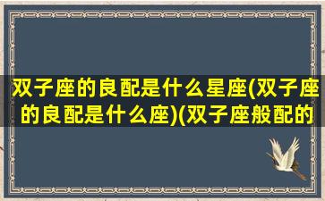 双子座的良配是什么星座(双子座的良配是什么座)(双子座般配的星座)