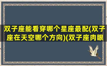 双子座能看穿哪个星座最配(双子座在天空哪个方向)(双子座肉眼能看到吗)