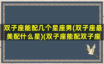 双子座能配几个星座男(双子座最美配什么星)(双子座能配双子座吗)