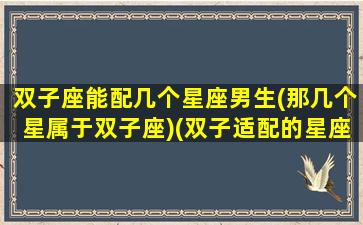 双子座能配几个星座男生(那几个星属于双子座)(双子适配的星座)