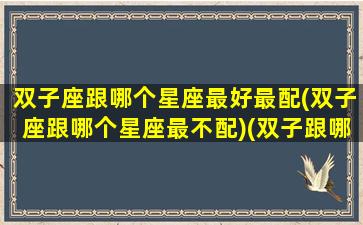 双子座跟哪个星座最好最配(双子座跟哪个星座最不配)(双子跟哪个星座最合适)