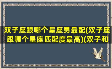 双子座跟哪个星座男最配(双子座跟哪个星座匹配度最高)(双子和哪个星座最配对)