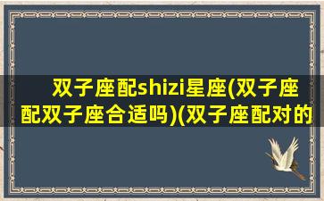 双子座配shizi星座(双子座配双子座合适吗)(双子座配对的是什么星座)