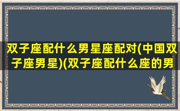 双子座配什么男星座配对(中国双子座男星)(双子座配什么座的男生)