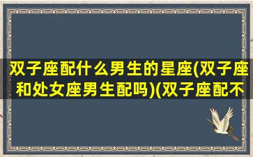 双子座配什么男生的星座(双子座和处女座男生配吗)(双子座配不配处女座)