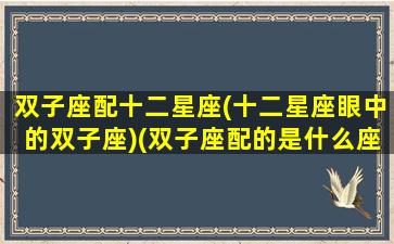 双子座配十二星座(十二星座眼中的双子座)(双子座配的是什么座)