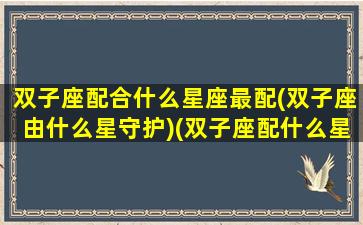 双子座配合什么星座最配(双子座由什么星守护)(双子座配什么星座合适)