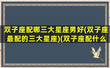 双子座配哪三大星座男好(双子座最配的三大星座)(双子座配什么座男生)