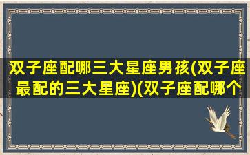 双子座配哪三大星座男孩(双子座最配的三大星座)(双子座配哪个)